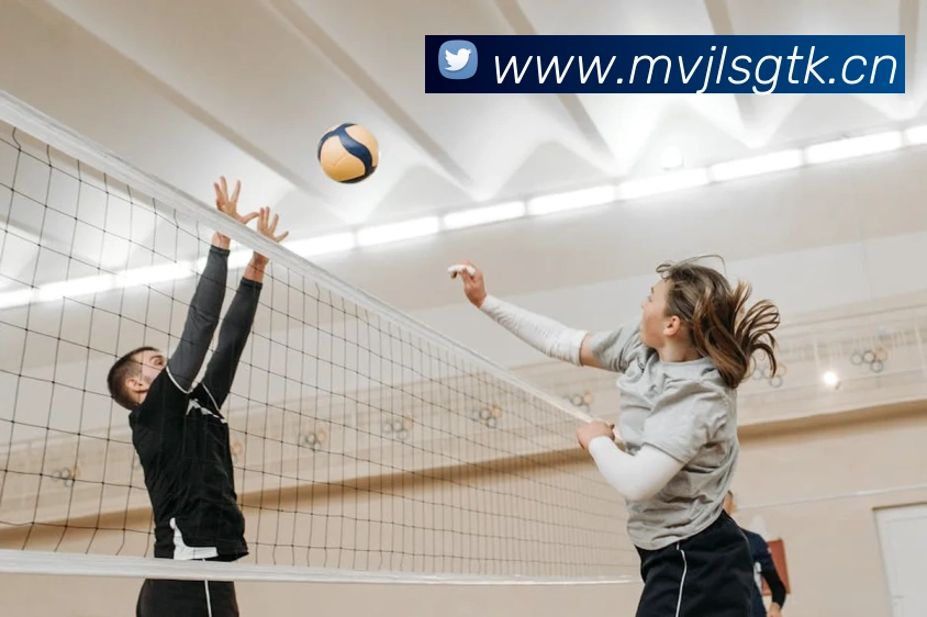 星空体育综合平台入口品牌故事