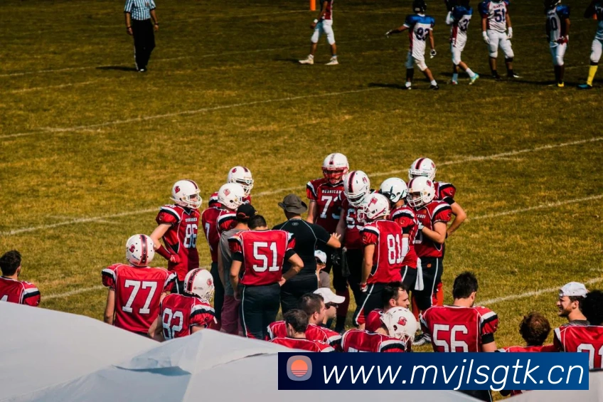 星空体育综合平台入口服务体系